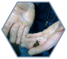 dirty hands
